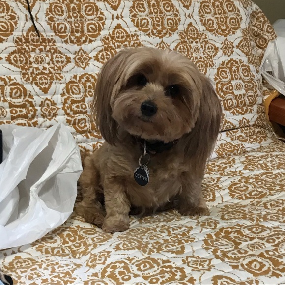 🎉Meet Your Posher, Shelly🎉 - Picture 2 of 8